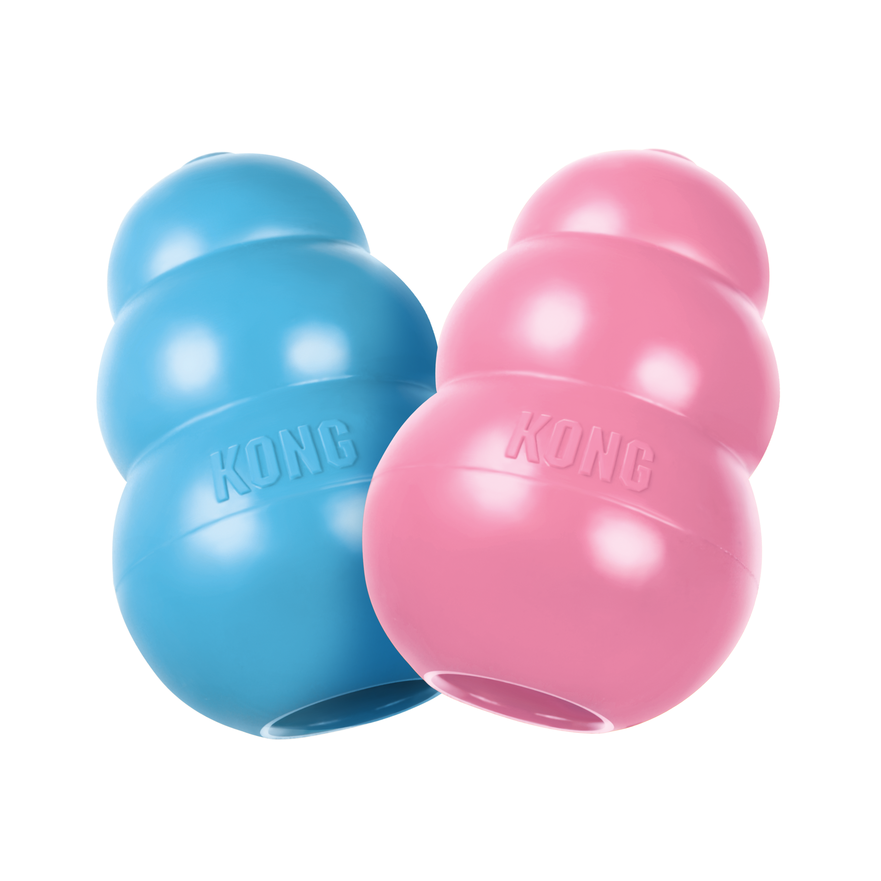 Kong_puppy