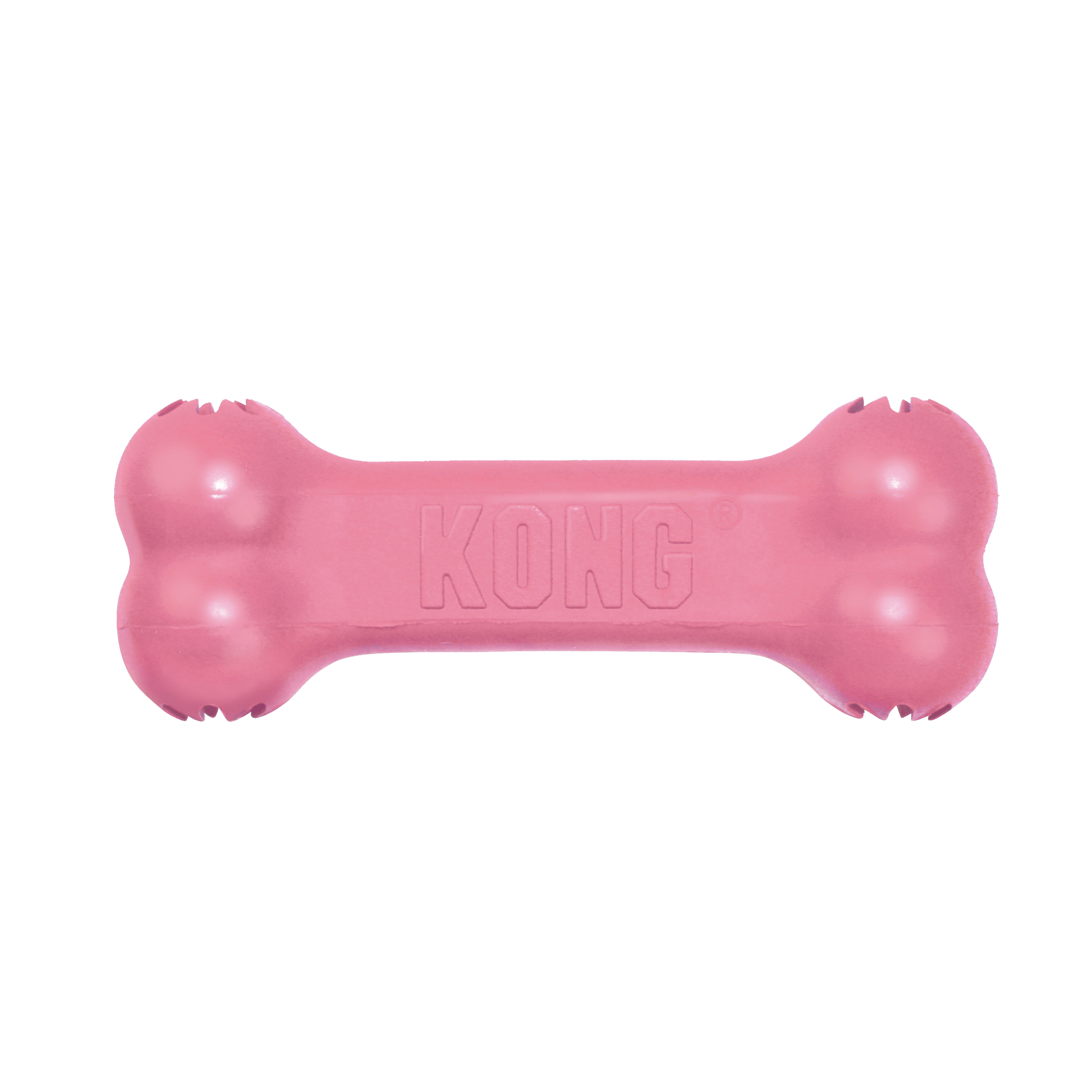 Kong_puppy_goodie_bone