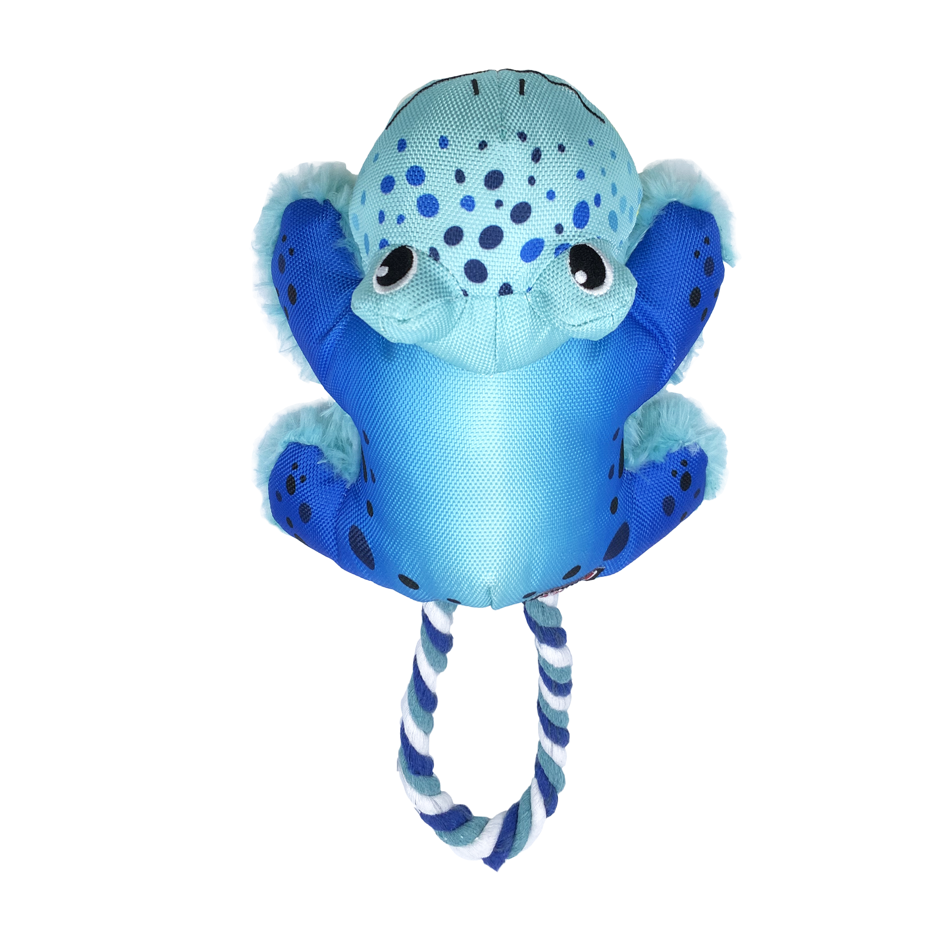 rana_azul